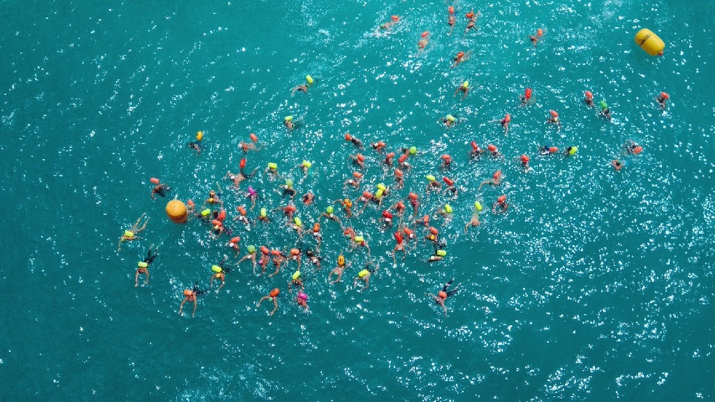 nuoto-acque-libere-isola-cirella